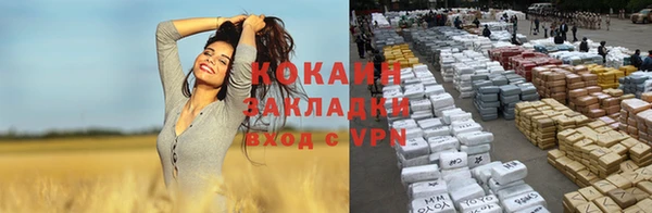 Альфа ПВП Кукмор