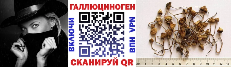 Купить где  Вытегра  Псилоцибиновые грибы ЛСД 